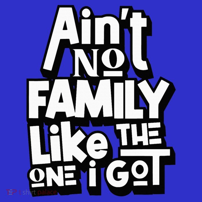 AinT No Family Like The One I Got For Family Apron
