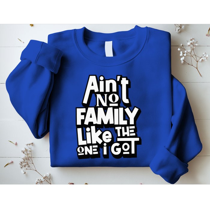 AinT No Family Like The One I Got For Family Sweatshirt