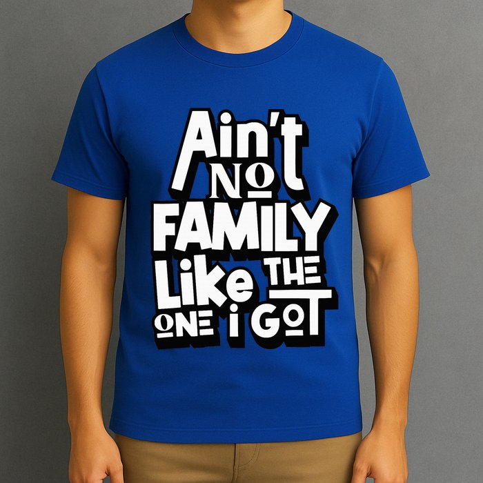 AinT No Family Like The One I Got For Family T-Shirt