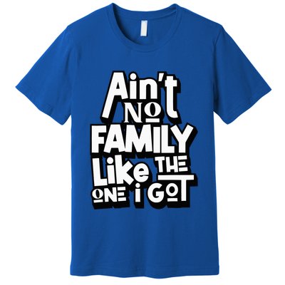 AinT No Family Like The One I Got For Family Premium T-Shirt