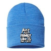 AinT No Family Like The One I Got For Family Sustainable Knit Beanie
