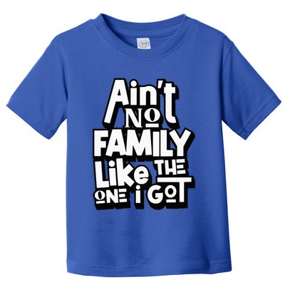 AinT No Family Like The One I Got For Family Toddler T-Shirt