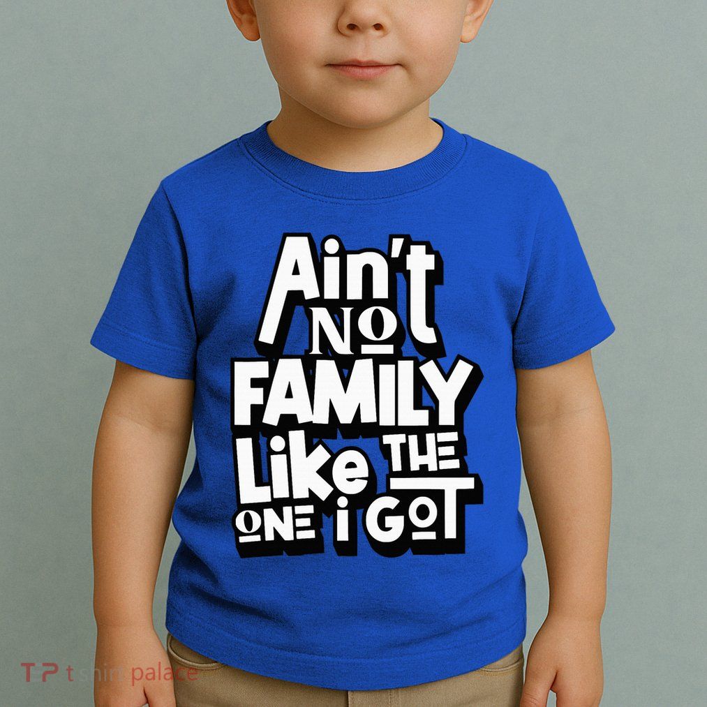 AinT No Family Like The One I Got For Family Toddler T-Shirt