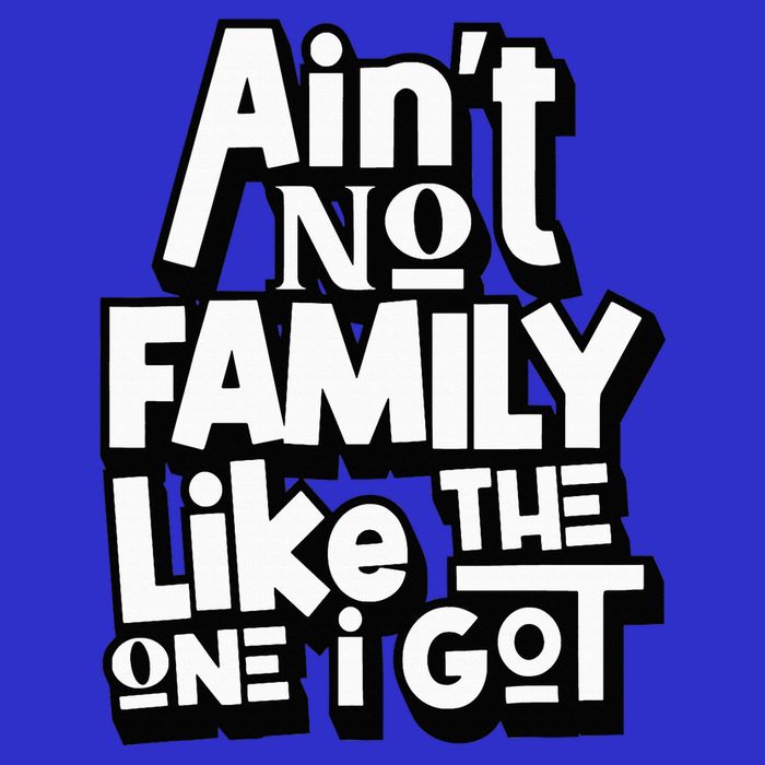 AinT No Family Like The One I Got For Family Womens T-Shirt