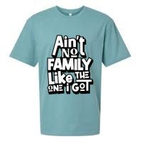 AinT No Family Like The One I Got For Family Sueded Cloud Jersey T-Shirt
