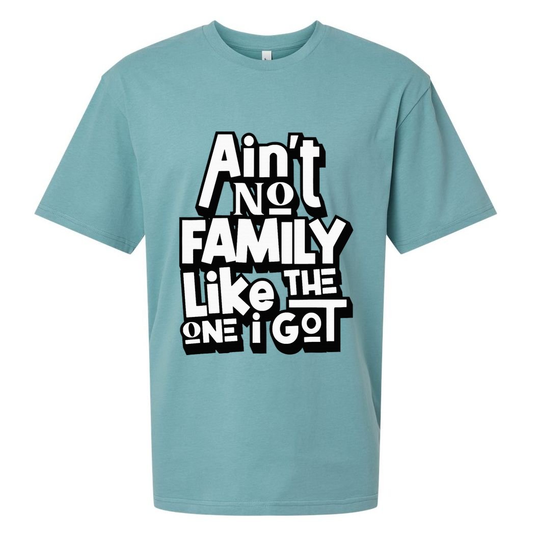AinT No Family Like The One I Got For Family Sueded Cloud Jersey T-Shirt
