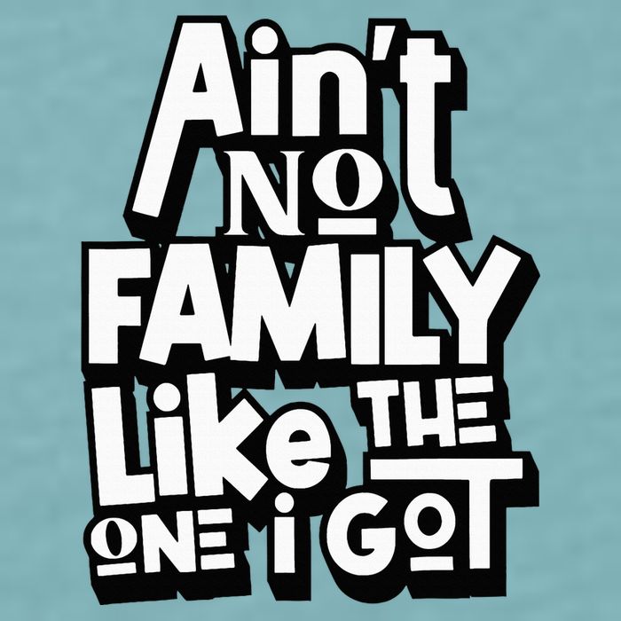 AinT No Family Like The One I Got For Family Sueded Cloud Jersey T-Shirt