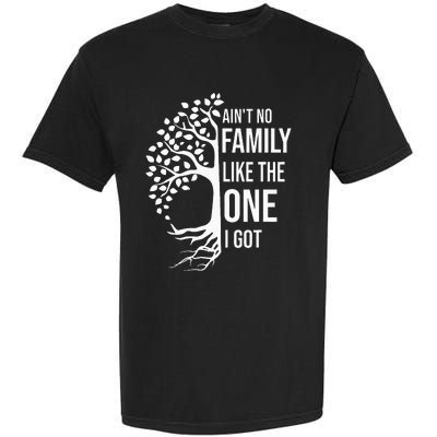 AinT No Family Like The One I Got Garment-Dyed Heavyweight T-Shirt