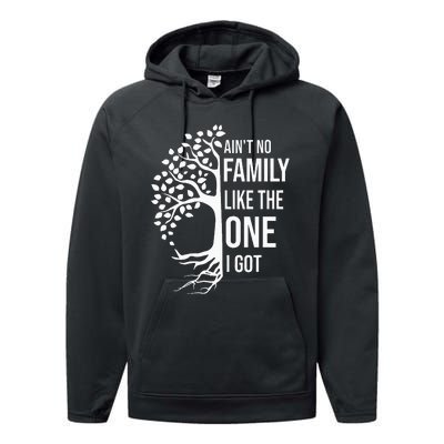 AinT No Family Like The One I Got Performance Fleece Hoodie