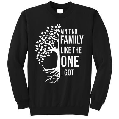 AinT No Family Like The One I Got Sweatshirt