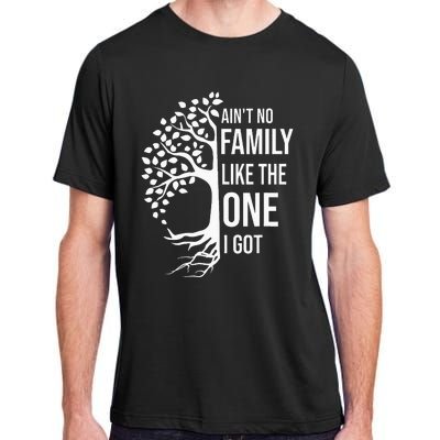 AinT No Family Like The One I Got Adult ChromaSoft Performance T-Shirt