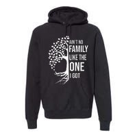 AinT No Family Like The One I Got Premium Hoodie