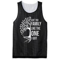 AinT No Family Like The One I Got Mesh Reversible Basketball Jersey Tank