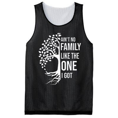 AinT No Family Like The One I Got Mesh Reversible Basketball Jersey Tank