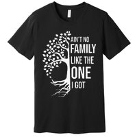 AinT No Family Like The One I Got Premium T-Shirt