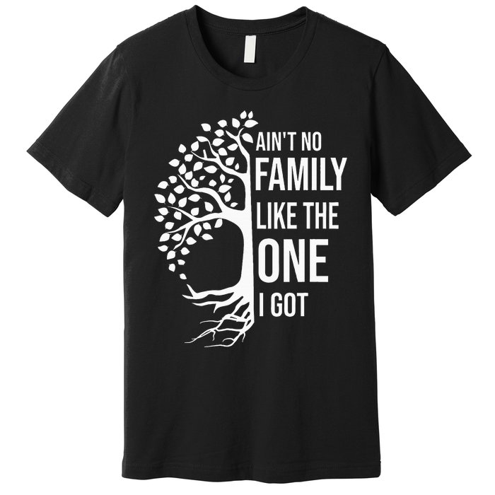 AinT No Family Like The One I Got Premium T-Shirt