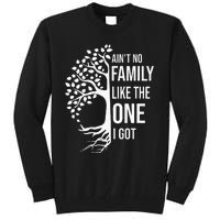 AinT No Family Like The One I Got Tall Sweatshirt