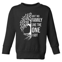 AinT No Family Like The One I Got Toddler Sweatshirt