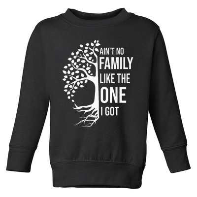 AinT No Family Like The One I Got Toddler Sweatshirt