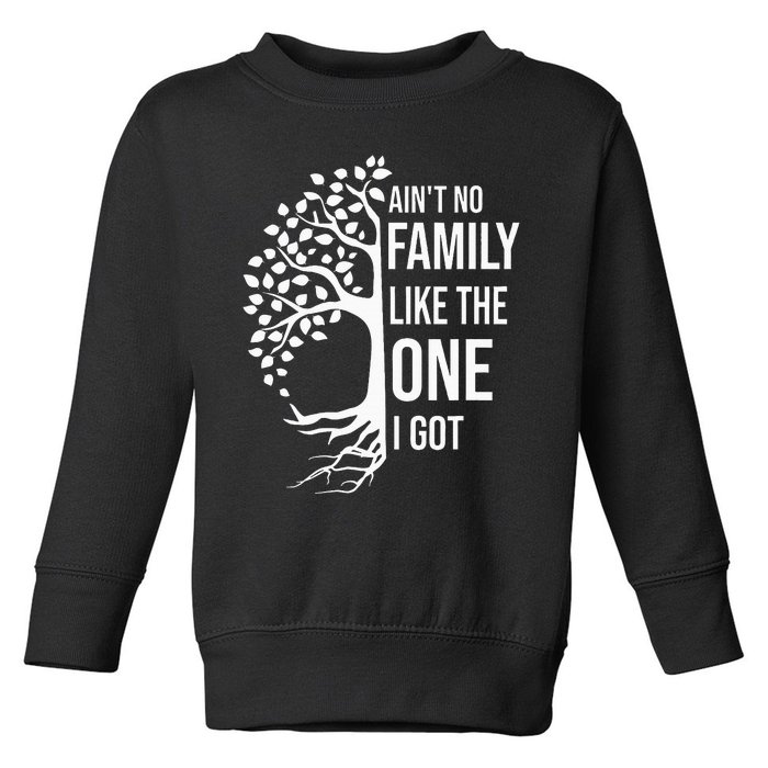 AinT No Family Like The One I Got Toddler Sweatshirt