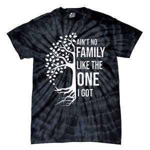 AinT No Family Like The One I Got Tie-Dye T-Shirt