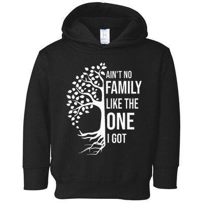 AinT No Family Like The One I Got Toddler Hoodie