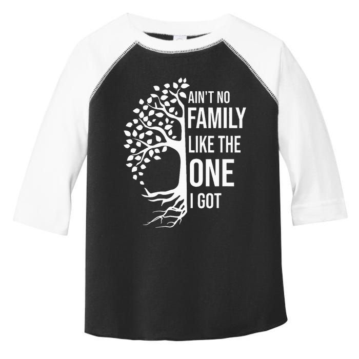 AinT No Family Like The One I Got Toddler Fine Jersey T-Shirt