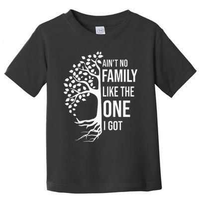 AinT No Family Like The One I Got Toddler T-Shirt