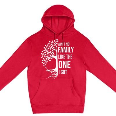 AinT No Family Like The One I Got Premium Pullover Hoodie