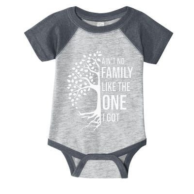 AinT No Family Like The One I Got Infant Baby Jersey Bodysuit