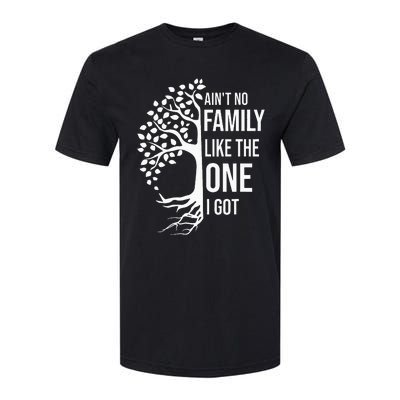 AinT No Family Like The One I Got Softstyle CVC T-Shirt