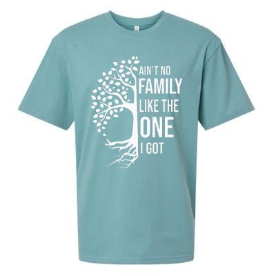 AinT No Family Like The One I Got Sueded Cloud Jersey T-Shirt