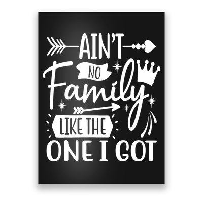 Ain't No Family Like The One I Got Funny Family Poster