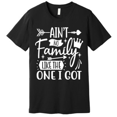 Ain't No Family Like The One I Got Funny Family Premium T-Shirt