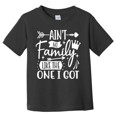 Ain't No Family Like The One I Got Funny Family Toddler T-Shirt