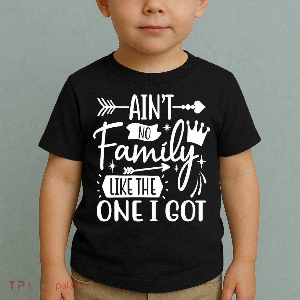 Ain't No Family Like The One I Got Funny Family Toddler T-Shirt