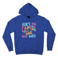 AinT No Family Like The One We Got Reunion Family Cute Gift Hoodie