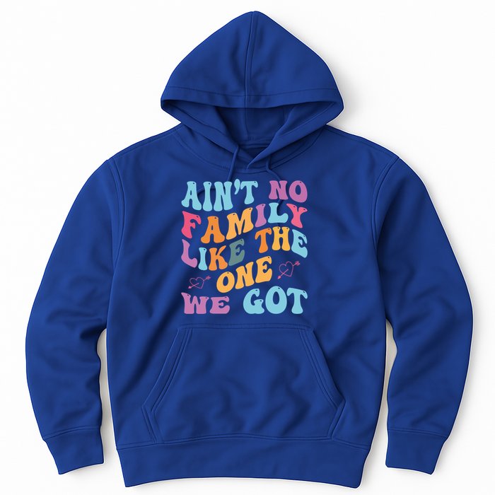 AinT No Family Like The One We Got Reunion Family Cute Gift Hoodie