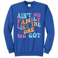 AinT No Family Like The One We Got Reunion Family Cute Gift Sweatshirt