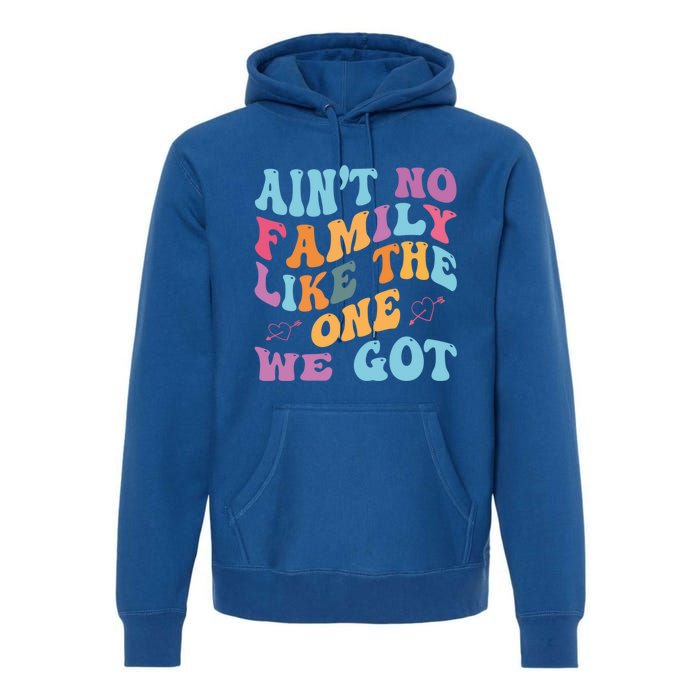 AinT No Family Like The One We Got Reunion Family Cute Gift Premium Hoodie