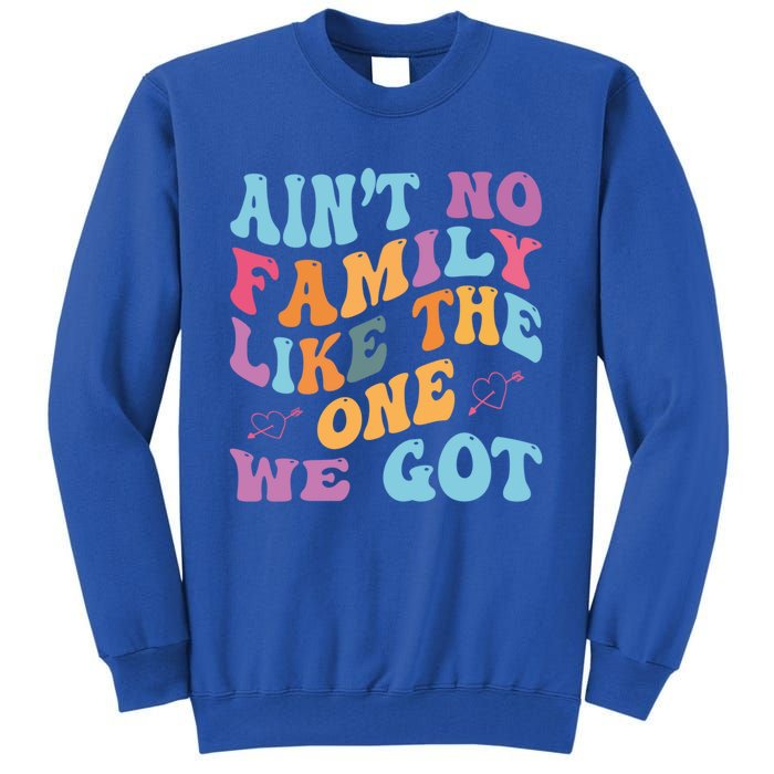 AinT No Family Like The One We Got Reunion Family Cute Gift Tall Sweatshirt