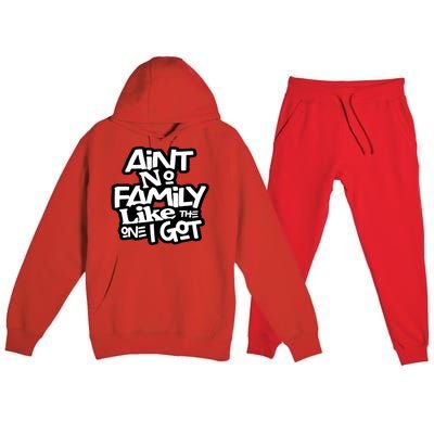 Ain't No Family Like The One I Got For Family Premium Hooded Sweatsuit Set