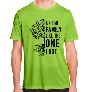 Aint No Family Like The One I Got Adult ChromaSoft Performance T-Shirt