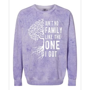 Aint No Family Like The One I Got Colorblast Crewneck Sweatshirt