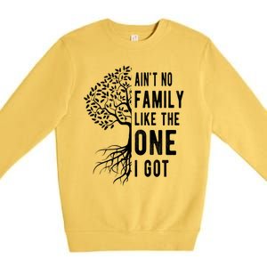 Aint No Family Like The One I Got Premium Crewneck Sweatshirt