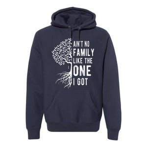 Aint No Family Like The One I Got Premium Hoodie