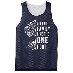 Aint No Family Like The One I Got Mesh Reversible Basketball Jersey Tank