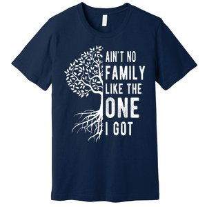 Aint No Family Like The One I Got Premium T-Shirt