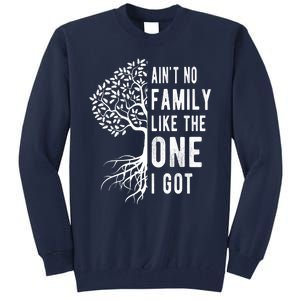 Aint No Family Like The One I Got Tall Sweatshirt