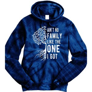 Aint No Family Like The One I Got Tie Dye Hoodie